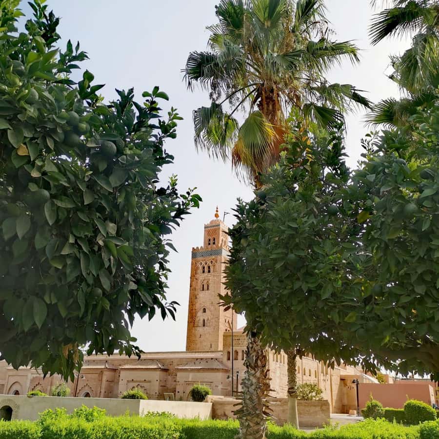 Sparkling Marrakech through the eyes of your local Guide - Jemaa el-Fnaa and a first taste of Marrakech