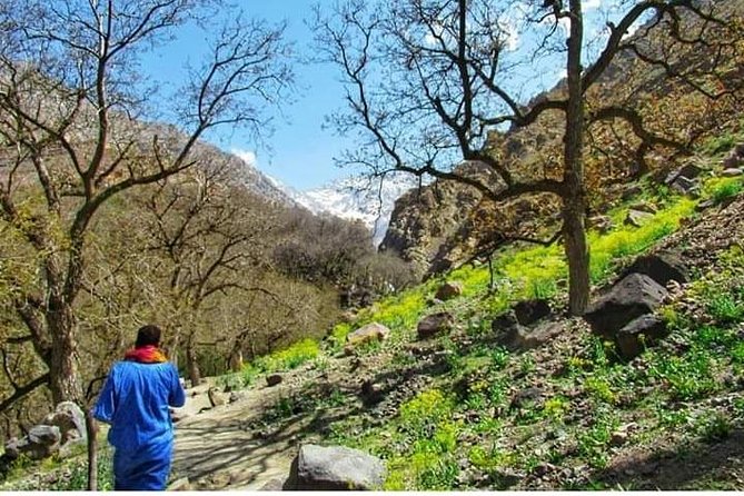 Summiting The Atlas Mountains, Day Hike & Trek From Marrakech - Mint tea and mountain views in Imlil