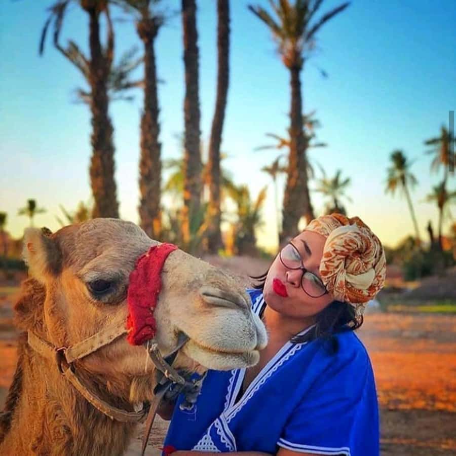 Sun set camel ride in palmerai of Marrakesh - Key points to know before booking