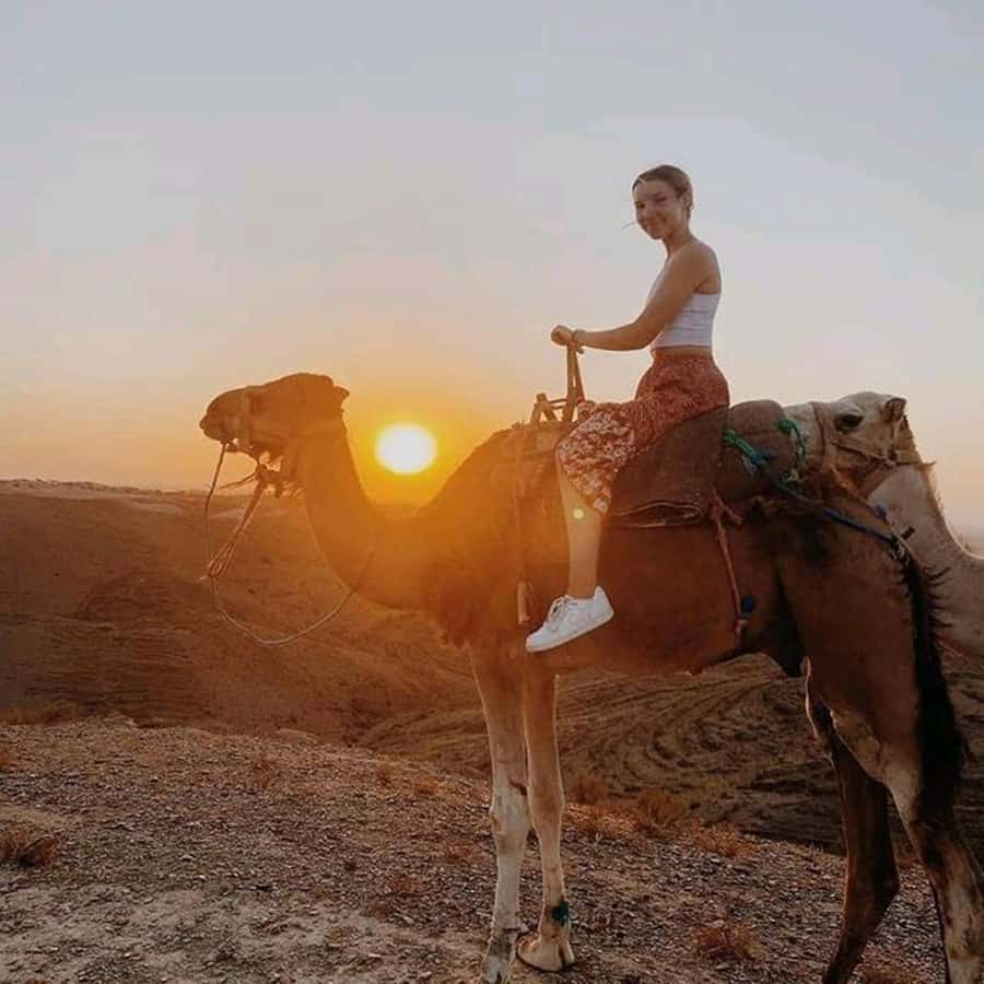 Sun set camel ride in palmerai of Marrakesh - Riding into Marrakesh’s palm groves