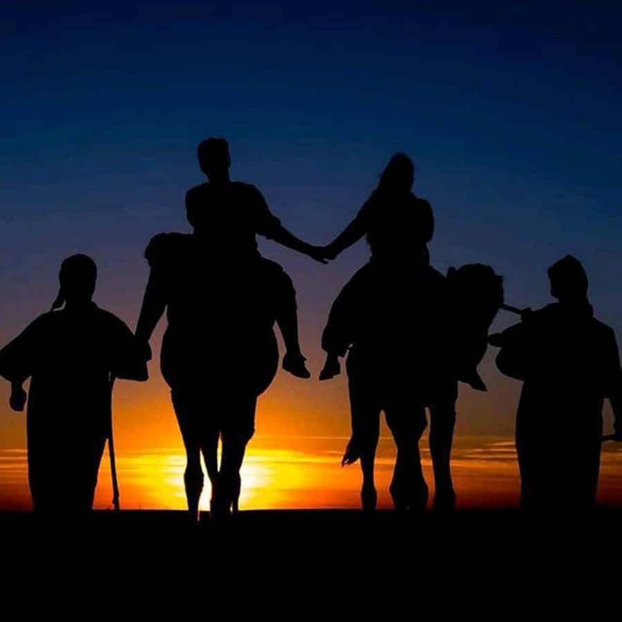 Sun set camel ride in palmerai of Marrakesh - The nomadic dress and photo stop
