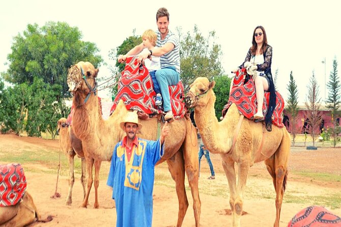 Sunset camel ride and barbecue dinner in Agadir - Key points to know before booking