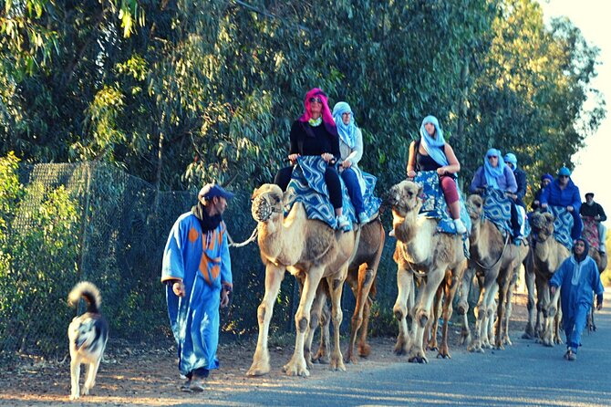 Sunset camel ride and barbecue dinner in Agadir - A camel ride close to Agadir, not the Sahara