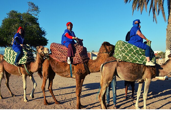 Sunset camel ride and barbecue dinner in Agadir - The Souss River and possible flamingo sightings