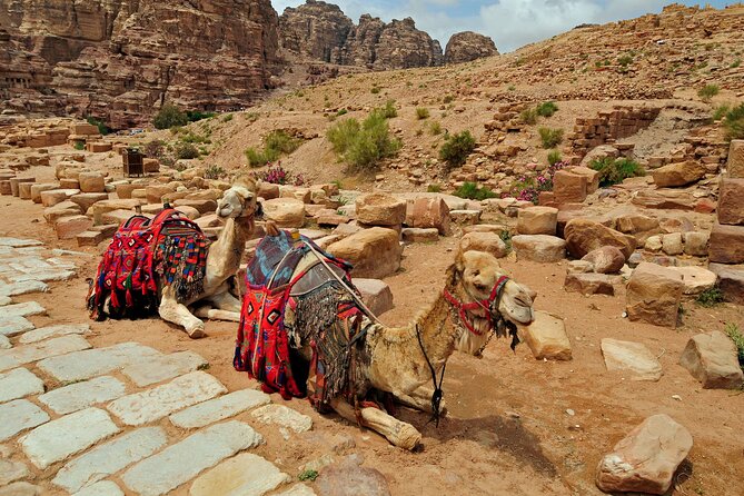 Sunset Camel Ride in Agadir or Taghazout With Transfers - Photos, tea, and the finish at the ranch