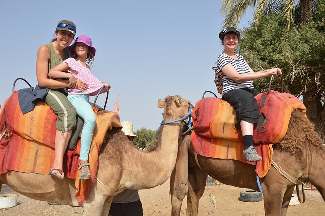 Sunset Camel Ride in Agadir or Taghazout With Transfers - Practical advice for a smoother ride