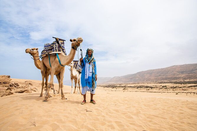 Sunset Camel Ride in Agadir with Dinner in Habitant House - Key points to know before booking