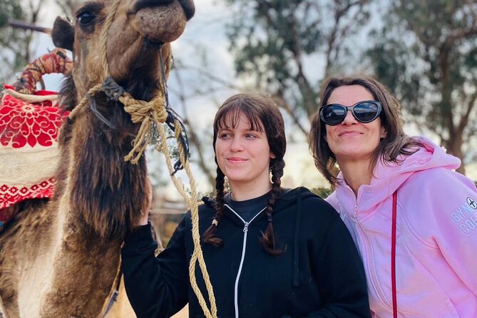 Sunset Camel Ride in Agadir with Dinner in Habitant House - Through the Eucalyptus Trees to the River