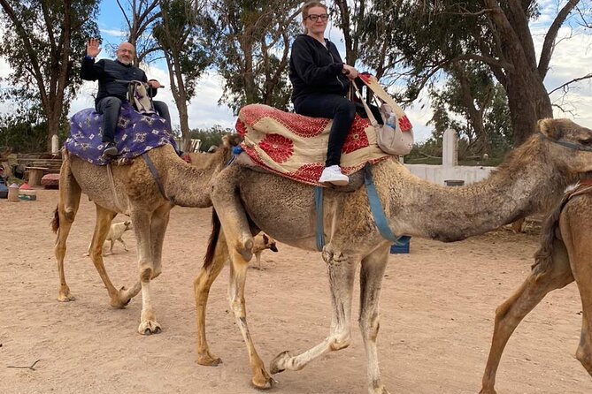 Sunset Camel Ride in Agadir with Dinner in Habitant House - Is the $29.04 Price Good Value?