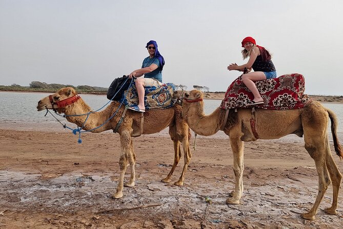 Sunset Camel Ride in Agadir with Dinner in Habitant House - What the Evening Schedule Looks Like
