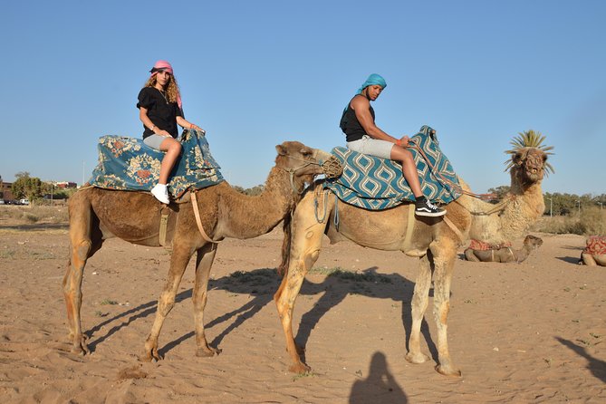 Sunset camel ride in Agadir with transport, tea and cakes. - A camel ride that trades dunes for the Souss River