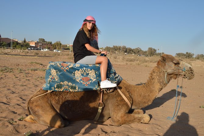 Sunset camel ride in Agadir with transport, tea and cakes. - Meeting the camels at the ranch