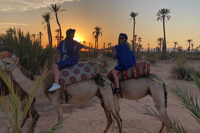 Sunset Camel Ride in the Palm Grove of Marrakech - Mint tea before the camels