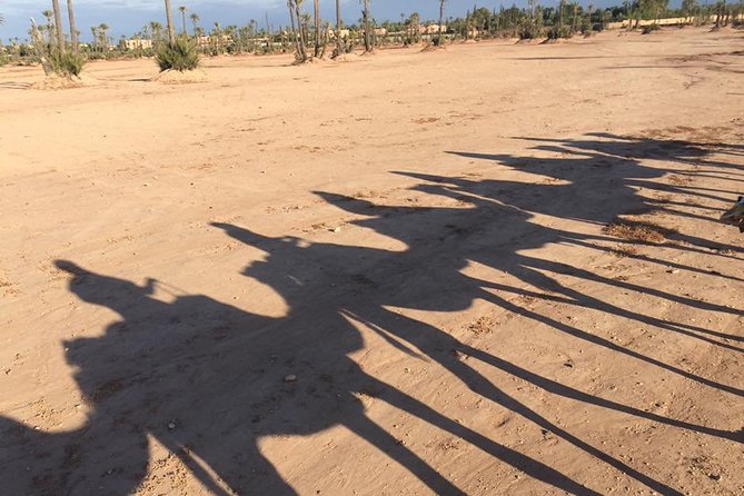 Sunset Camel Ride in the Palm Grove of Marrakech - Riding through the Palmeraie