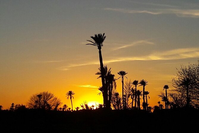 Sunset Camel Ride in the Palm Grove of Marrakech - Who should book it