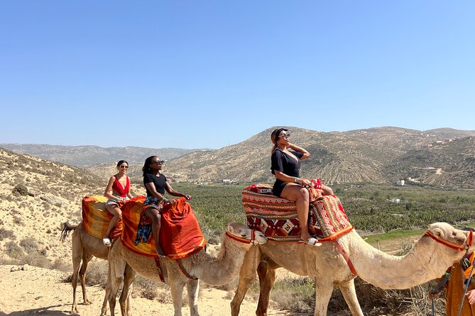 Sunset Camel Ride tour with Barbecue dinner in the beach - Choosing your camel and getting settled