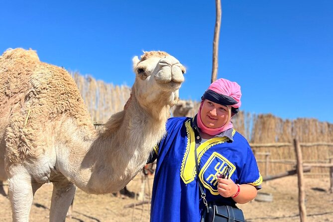 Sunset Camel Ride tour with Barbecue dinner in the beach - Music, dancing, and the social finish