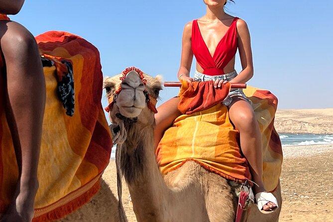 Sunset Camel Ride tour with Barbecue dinner in the beach - Who will enjoy this Agadir camel ride