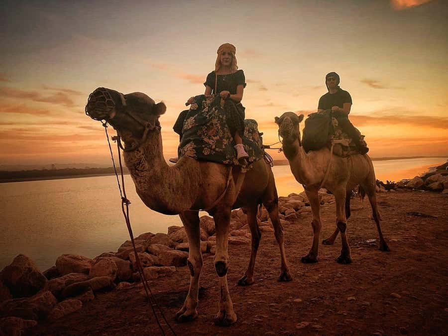 Sunset Camel Riding Including BBQ Dinner & Hotel Transfers - What Riding the Camels Feels Like
