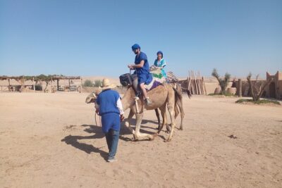 Sunset Dinner & Camel Ride in Agafay desert