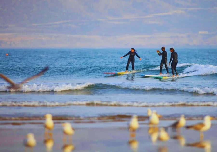 Surf Training and Lunch on Essaouira Day Trip from Marrakech - Getting fitted for the surf lesson