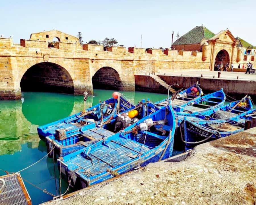 Surf Training and Lunch on Essaouira Day Trip from Marrakech - How the $70 price holds up