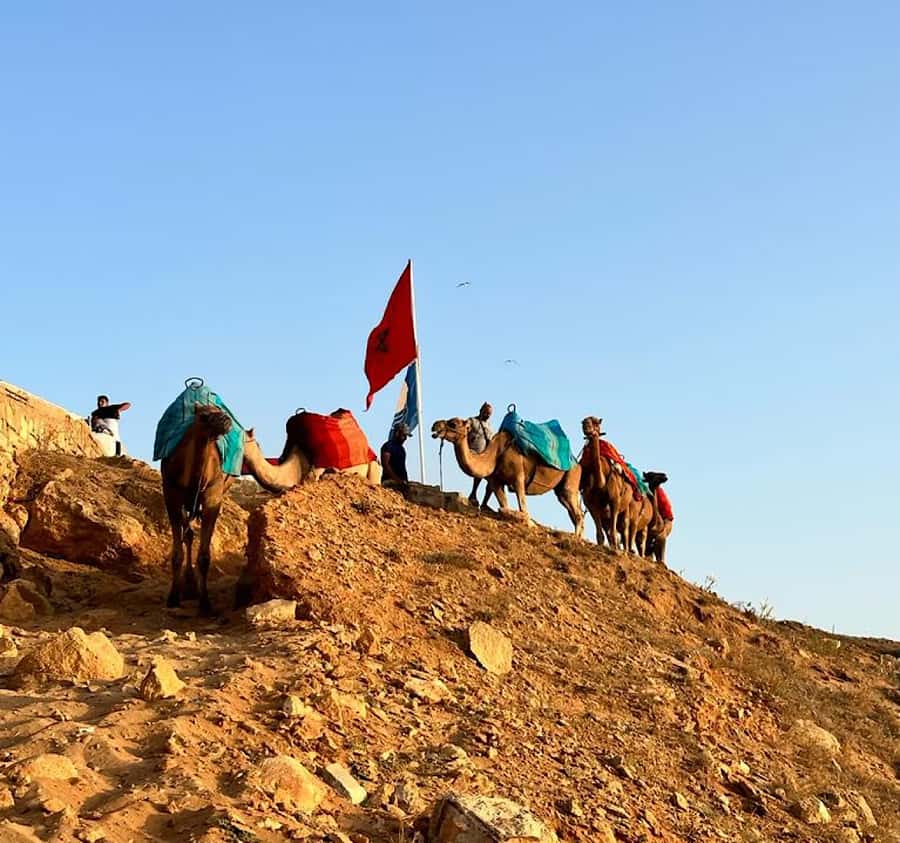 Tangier: Achakar Beach Sunset Camel Ride & Moroccan Dinner - Cap Spartel, Morocco’s Atlantic lookout