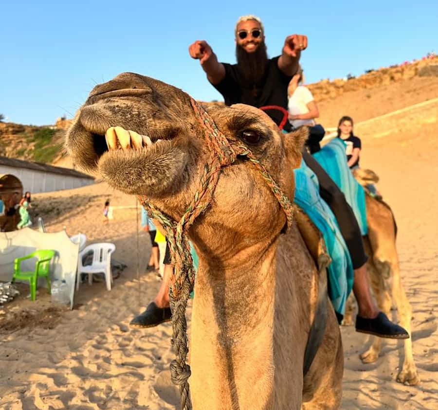 Tangier: Achakar Beach Sunset Camel Ride & Moroccan Dinner - Where the Atlantic and Mediterranean meet