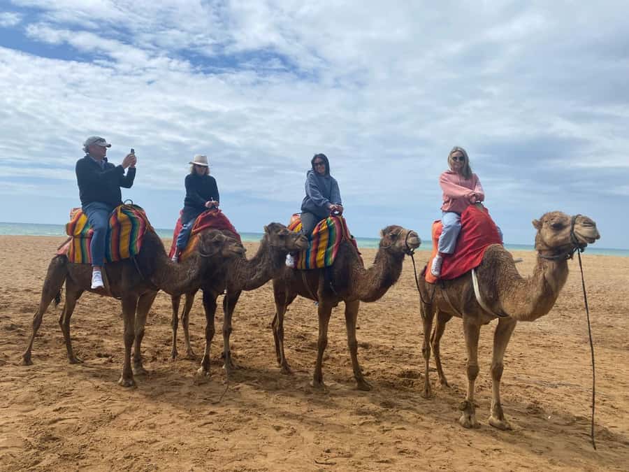 Tangier: Cap Spartel, Hercules Caves & Camel Riding - What the driver adds to the experience