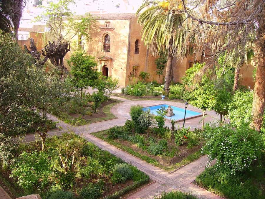 Tangier & Chefchaouen: 2-Day Tour From Casablanca By Train - Guides, languages, and group size