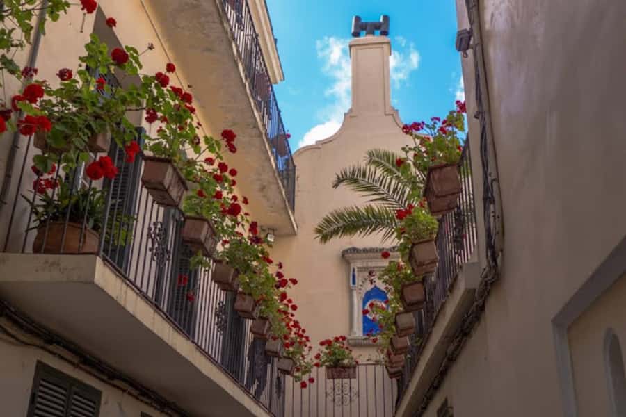 Tangier Half-Day Guided City Tour - The drive back through modern Tangier