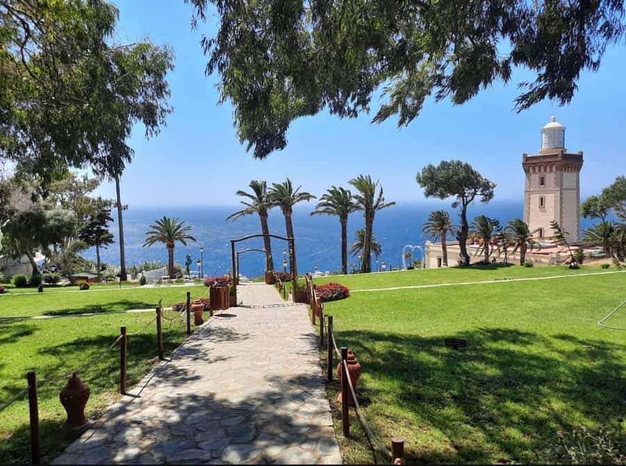 Tangier Private Tour: Explore And Camel Ride Adventure - A camel ride at Achakkar Beach