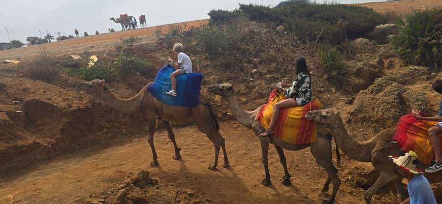 Tangier Private Tour: Explore And Camel Ride Adventure - The private vehicle and guide setup
