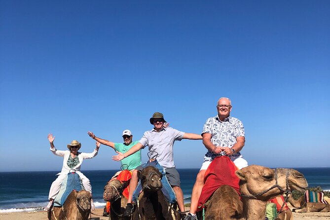 Tangier Private Tour :Medina ,souks, kasbah, caves & camel ride - Why this seven-hour route works in Tangier