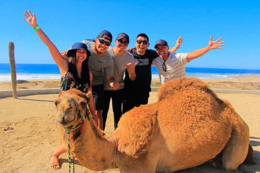 Tangier: sunset, tea, camel ride, Cape Spartel and caves. - Moroccan tea with the sunset
