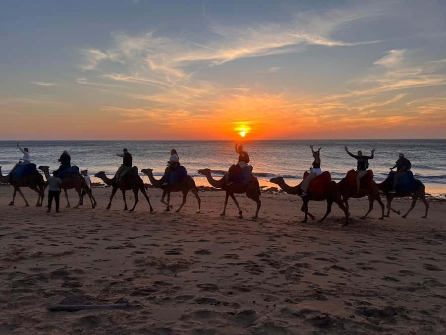 Tangier: Sunset, Tea, Sweets, Camel Ride, and Hercules Caves - Who should book this three-hour outing