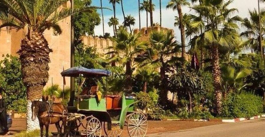 Taroudant and Tiout Oasis Trip With Lunch - Why Taroudant feels different from Agadir and Marrakech
