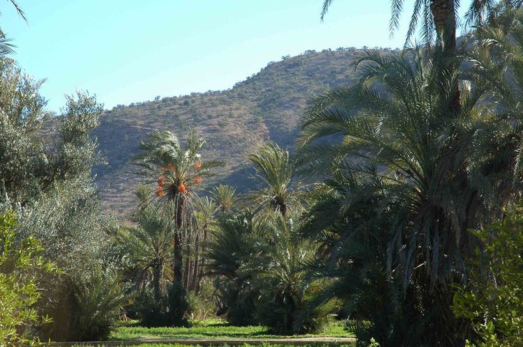 Taroudant and Tiout Oasis Trip With Lunch - The 30-kilometer ride to Tiout