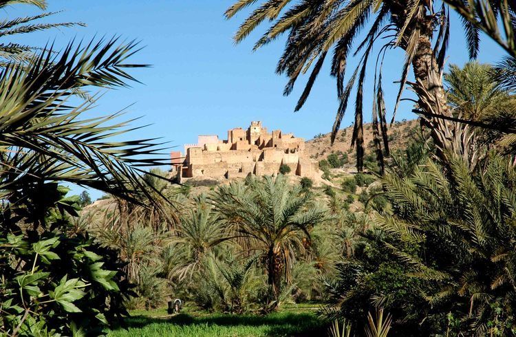 Taroudant and Tiout Oasis Trip With Lunch - How the guiding can shape your day