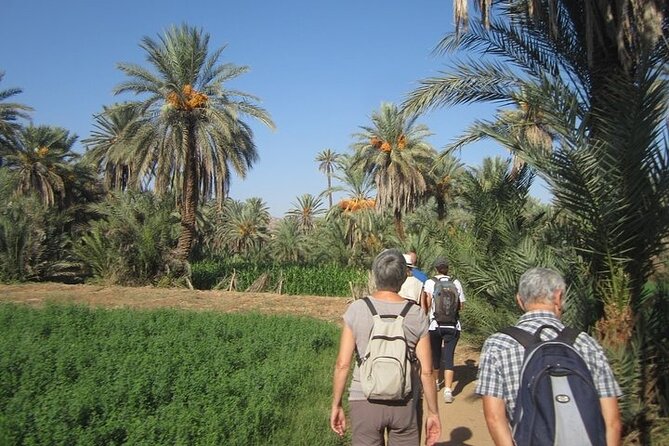 Taroudant & Tiout Day Trip Tour - My verdict on Taroudant and Tiout