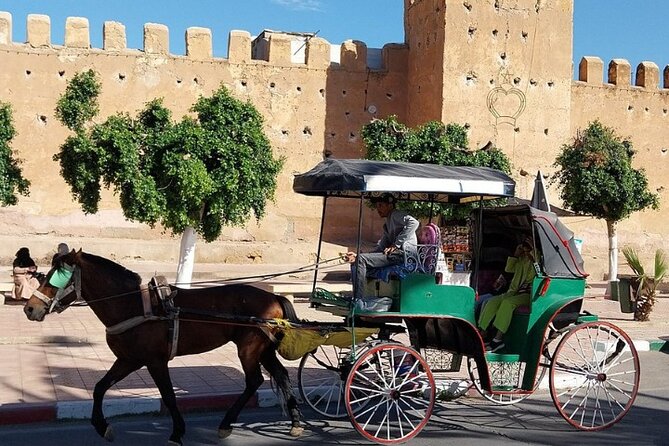 Taroudant & Tiout Day Trip Tour - Tiout Oasis and its palm groves