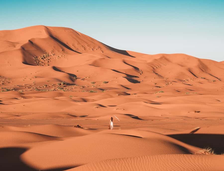 the luxury 2days 1night desert tour from fez to fez/marakech - The camel ride and Sahara sunset