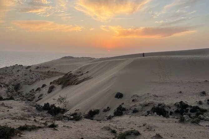 Timlalin Dunes & Sandboarding From Agadir - Sandboarding for beginners and experienced riders