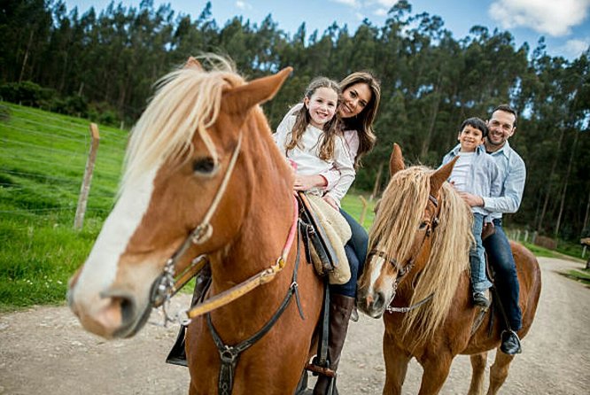 Top Packages Activities Discover Agadir and Morroco ® - What the wider Agadir service can arrange