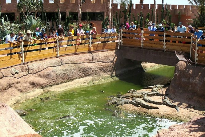 Top Packages Activities Discover Agadir and Morroco ® - What the price means at $184.29