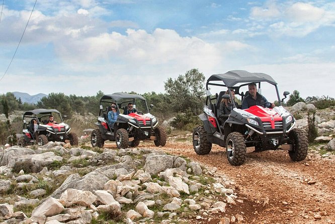 Top Packages Activities Discover Agadir and Morroco ® - Who should book this experience
