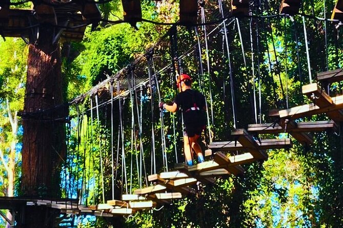 Top Rated Atlas Mountains Zipline from Marrakesh - Lunch with tagine and local bread