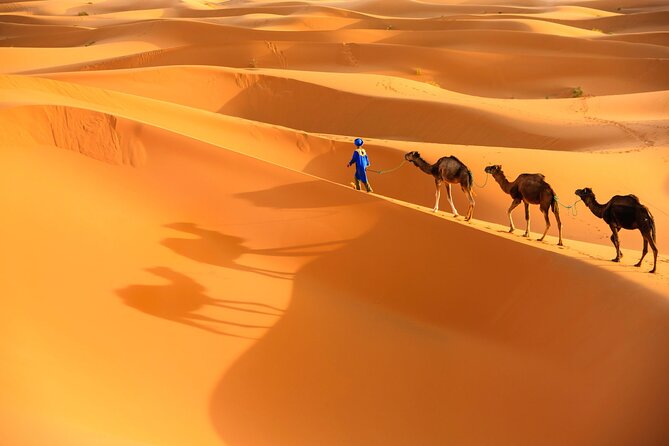 trip of your dreams in 3 days and 2 nights in the desert - Ouarzazate and the road to Todra Gorge