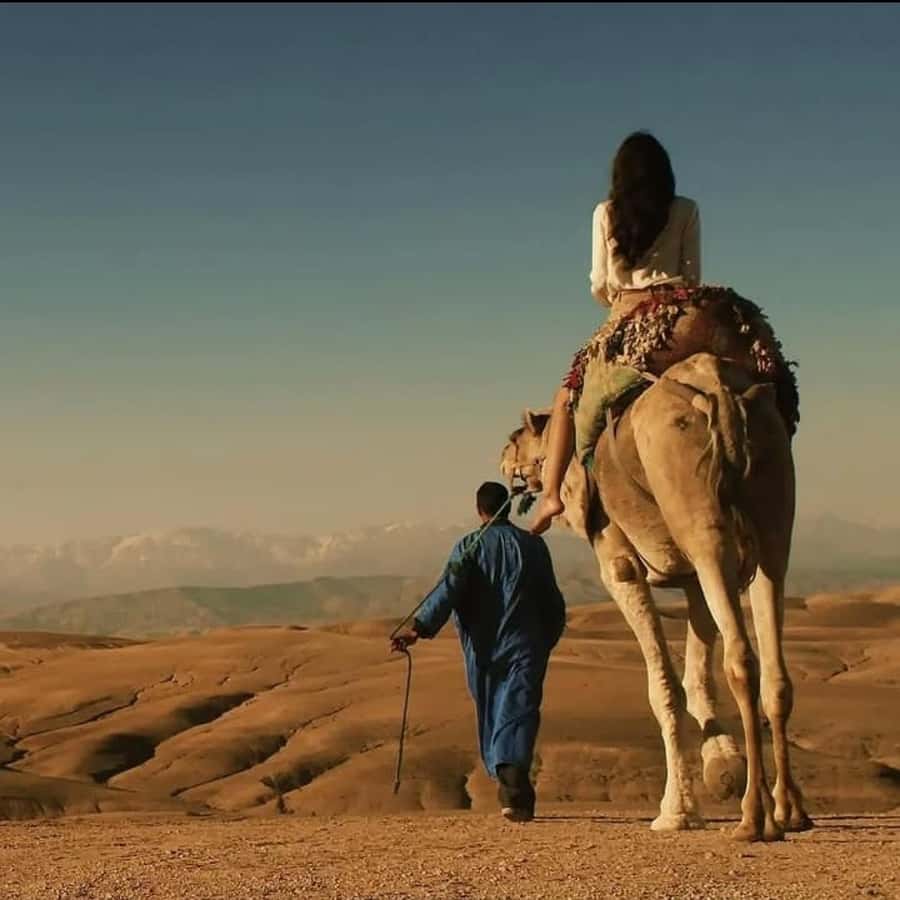 Unforgettable Desert Night: Dinner, Camel Ride & Quad Bike - Camel riding with a Moroccan sunset
