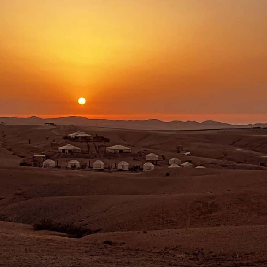 Unforgettable Desert Night: Dinner, Camel Ride & Quad Bike - Dinner, music, and the fire show
